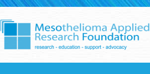 Meso Foundation Travel Grant