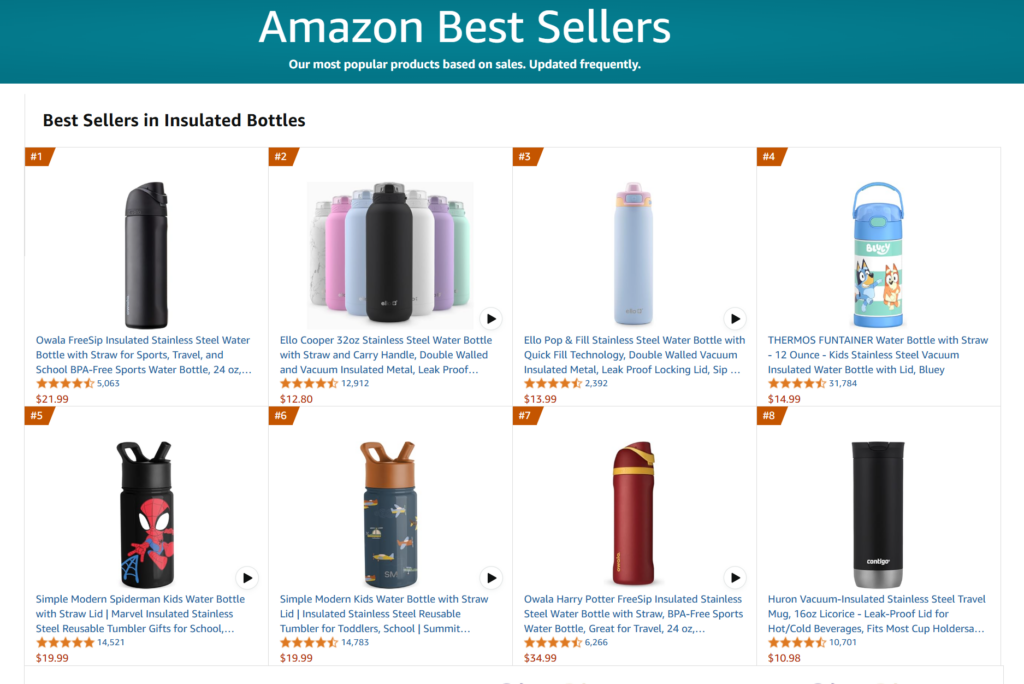 Amazon Bestselling Insulated Water Bottles